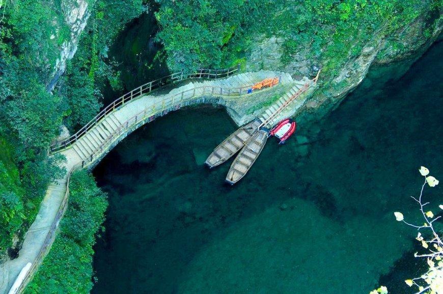 迷雾求生